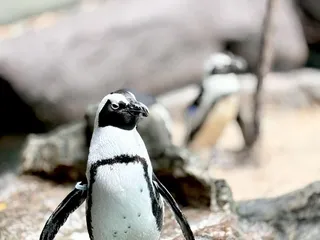 The Dallas World Aquarium