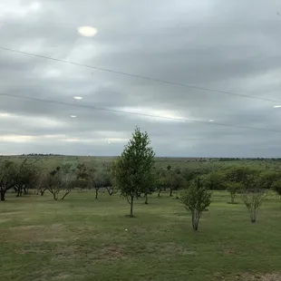 View from the dining room!