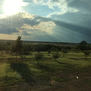 The view from my table