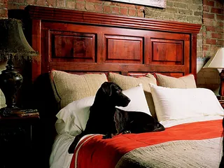 Argentina Polo & Leather