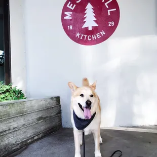 Dog-friendly patio.