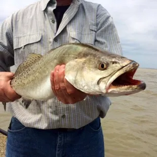 a man holding a large fish