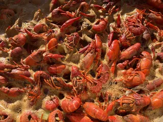 Gulf Coast Crawfish