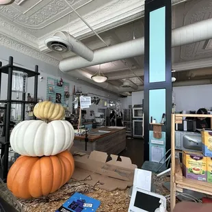 11/27/24 Peaking at the place where the magic happens