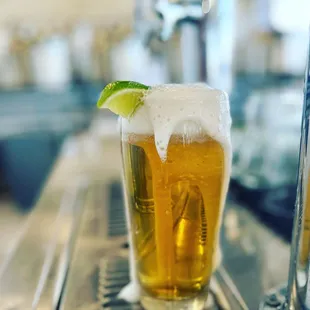 mexican lager