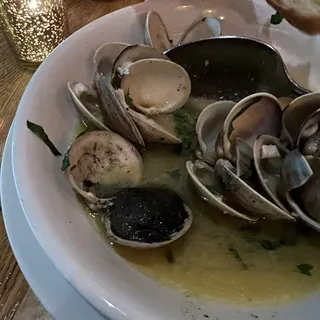 Steamed Clams