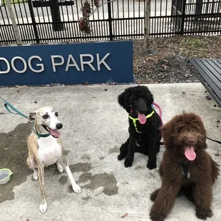 Great little park!