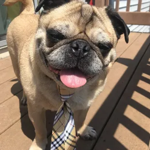 Happy Healthy Patient!!