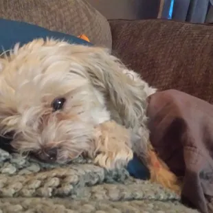 Baby girl Jasmine recovering at home after her middle of the night visit to MSAH.