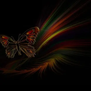 Metamorphosis CBD, Vape &amp; Smoke Shop