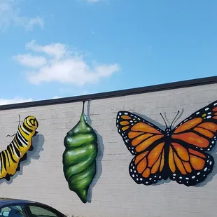 Metamorphosis by Jules MuckRock Muck 2019