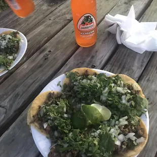 Very generous portions!  These are $1.25 each (extra for cheese and guacamole)