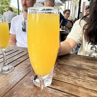 Mimosa