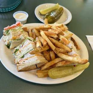 &quot;Turkey Only&quot; Metro Club, fries with a side of Ranch.