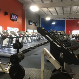Cardio section.