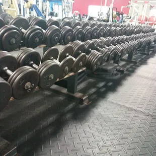 The largest selection of dumbbells ever! Haha