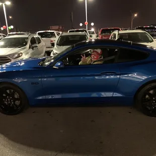 Our Dream Car 2020 Mustang GT 5.0 Special Edition