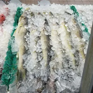 a variety of fish on ice