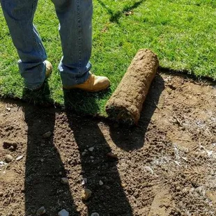 Metro Sod & Seeding