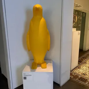 Penguins are everywhere
