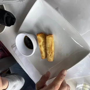 a person holding a plate of food