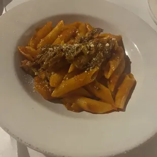Special - penne pasta with short rib