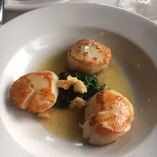 Pan Seared Scallops