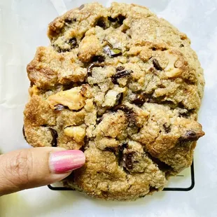 Giant chocolate chips macadamia nut cookie.