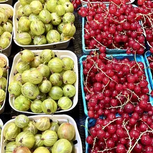 Gooseberries and currants. So good!