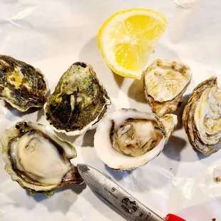 Kusshi &amp; Kumomoto oysters