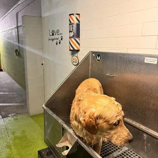 Dog wash area!