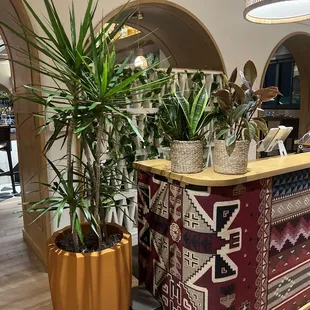 Reception area