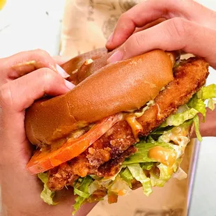 a person holding a large sandwich