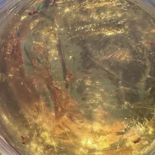 Half a dozen dead inspects at the bottom of a glass...