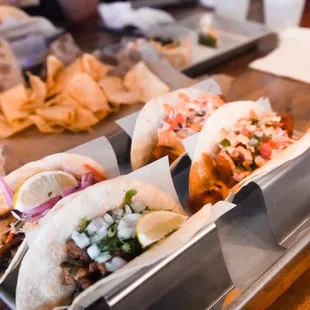 Mexican Cactus Taco Bar
