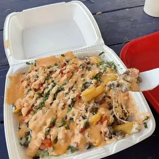 Asada fries! (I ask for tomatoes on it)