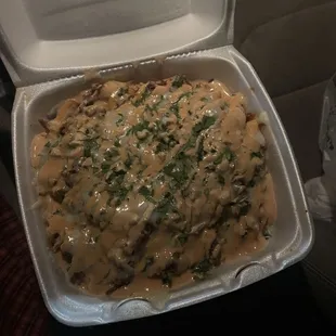 Birria fries