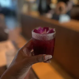 Hibiscus Margarita