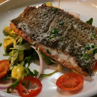 Striped Bass