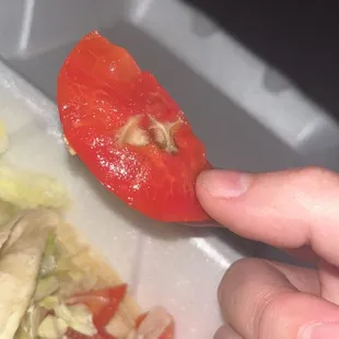 a hand holding a piece of food