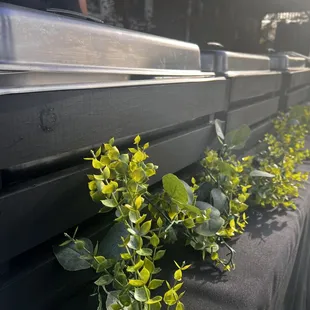 Jet Black Chaffing Trays