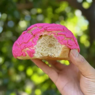 Pan Dulce
