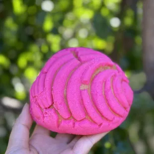 a hand holding a pink donut