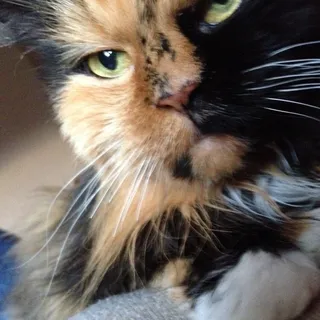 Maggie M.