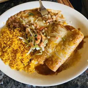 Shredded Beef Enchiladas