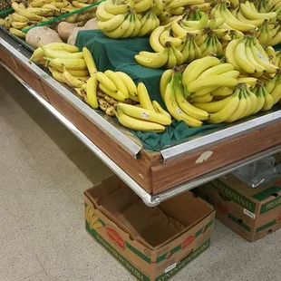 food, pasta, pasta dish