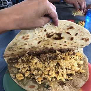Massive chorizo, egg and bean taco!