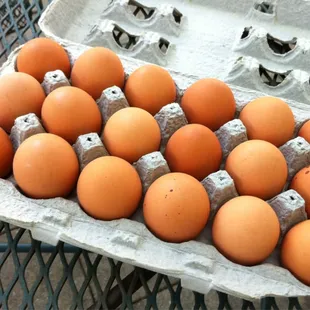 Needed some farm fresh eggs this morning...now were making breakfast!!!