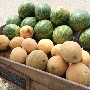Fresh melons...it must be summer time.
