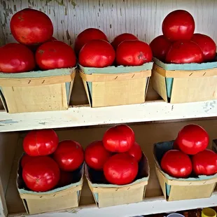 The tomatoes actually taste like tomatoes. In about two minutes these are going to be fresh salsa.